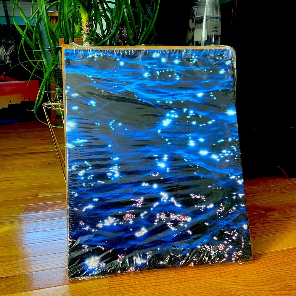 Canvas Print